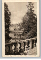 4053 JÜCHEN - DAMM, Schloß Dyck, Durchblick Aus Dem Park, Verlag Poy - Neuss