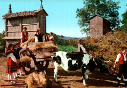 CPM - ATTELAGE De BOEUFS - Folklore Gallego - Edition Alarde - Equipaggiamenti