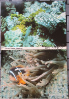 ISRAEL EILAT RED SEA POSTCARD LOT 10 BOOKLET UNDERWATER OBSERVATORY FISH CORAL FOLDER CARTE POSTALE POSTCARD CARTOLINA - Israel