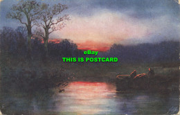 R596720 Tuck. Oilette. Evening Glow. Connoisseur. Postcard 2706 - Welt