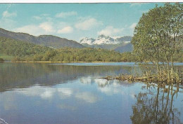 Elterwater & Langdale Pikes - Lake District  - Unused Postcard - Lake2 - Windermere