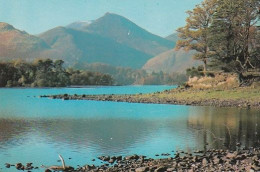 Derwentwater & Grisedale Pike - Lake District  - Unused Postcard - Lake2 - Windermere