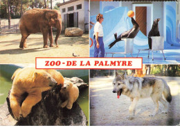 17 LA PALMYRE #SAN49529 ZOO DE LA PALMYRE ELEPHANT LES OTARIES SAVANTES OURSE ET SON OURSON - Sonstige & Ohne Zuordnung