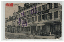 41 ROMORANTIN GRAND HOTEL DU LION D OR - Romorantin