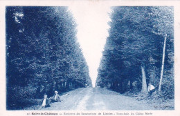 SOLRE Le CHÂTEAU - Environs De Sanatorium De Liessies - Sous Bois Du Chene Marie - Solre Le Chateau