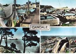 35 CANCALE #SAN49897 LES PARCS A HUITRES LE PORT LA POINTE DU GROUIN LE ROCHER DE CANCALE - Cancale