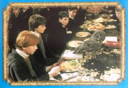 52 - Panini Harry Potter Et La Chambre Des Secrets 2003 Sticker Vignette - Other & Unclassified