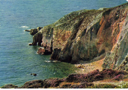 29 CROZON #SAN49774 PRESQU ILE DE CROZON LE CAP DE LA CHEVRE L EXTREME POINTE OU SE TROUVE LA FALAISE DECHIQUETEE - Crozon