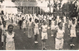 SPORTS #MK48417 CARTE PHOTO - Gymnastique