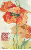 ILLUSTRATEUR #MK48473 KLEIN FLEURS COQUELICOT - Klein, Catharina