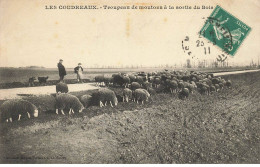 93 MONTFERMEIL #MK48392 LES COUDREAUX TROUPEAU DE MOUTONS A LA SORTIE DU BOIS - Montfermeil