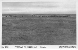 ARGENTINE #DC51085 GANADO PAMPA ARGENTINE - Argentinien