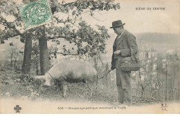 COCHONS #MK52841 UN HOMME ET UN COCHON CHERCHANT LA TRUFFE - Cerdos