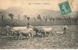 AGRICULTURE #DC51481 ATTELAGES BOEUFS LE LABOUR EN SAVOIE - Equipaggiamenti