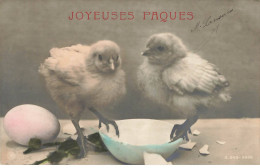 VOEUX #MK52906 JOYEUSES PAQUES DEUX POUSSINS OEUF - Pasen