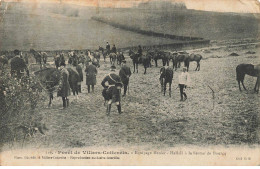 02 VILLERS COTTERETS #MK52055 EQUIPAGE MENIER HALLALI A LA FERME DE BOURCQ CHASSE - Villers Cotterets