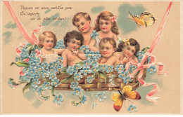 FANTAISIES #DC51257 BEBES MULTIPLES DANS PANIER DE MYOSOTIS FLEURS CARTE GAUFFREE - Bébés