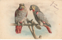 OISEAUX AB#MK327 DEUX PERROQUET GRIS DU GABON - Birds