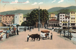 PORTUGAL #MK53457 MADEIRA AVENIDA GONSALVES ZARCO - Madeira