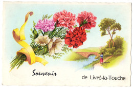 CPSM PF 53 - LIVRE LA TOUCHE (Mayenne) - Souvenir De Livré-la-Touche - Sonstige & Ohne Zuordnung
