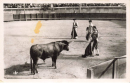 SPORT CORRIDA AB#MK178 COURSE DE TAUREAUX LA MULETA PREPARATIF POUR L ESTOCADE - Sonstige & Ohne Zuordnung