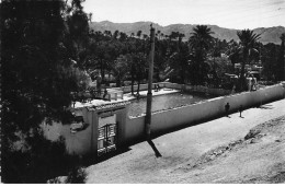 ALGERIE AC#MK192 COLOMB BECHAR LA PISCINE MUNICIPAL - Bechar (Colomb Béchar)