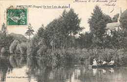 MIRECOURT : UN BON COIN DE PECHE - Mirecourt