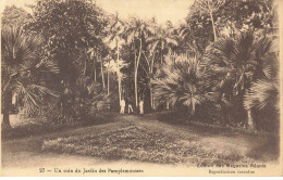 MAURICE #MK53373 UN COIN DU JARDIN DES PAMPLEMOUSSES - Mauritius