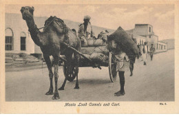 YEMEN #MK53314 MAALA LOAD CAMELS AND CART - Yemen