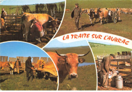 48 L AUBRAC AA#DC719 SUR LE MONTS D AUBRAC LA TRAITE AU PARC RACE BOVINE DE L AUBRAC - Autres & Non Classés