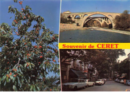 66 CERET AA#DC897 MULTIVUES SOUVENIR LE PONT LA VILLE - Ceret