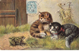 CHATS AC#MK936 DEUX CHATS TIGRE ET NOIR ET UNE GRENOUILLE - Katzen