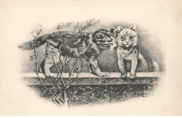 CHATS AC#MK915 DEUX CHATS PAR ILLUSTRATEUR ANDERS - Cats