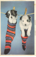 CHIENS AC#MK862 DEUX CHIOTS DANS UNE CHAUSSETTE SUSPENDU PINCE A LINGE - Dogs