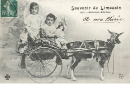 JOUETS AC#MK842 SOUVENIR DU LIMOUSIN GRACIEUX ATTELAGE DE CHEVRE ET FILLETTES AVEC POUPEE - Speelgoed & Spelen