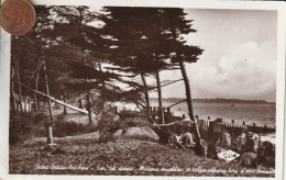 44 - Carte Postale Semi Moderne De  SAINT BREVIN LES PINS   Sur Les Dunes  Maisons Ensablées , Et Arbres Abbatus - Saint-Brevin-les-Pins