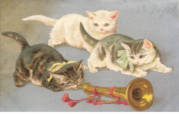 CHATS AC#MK975 TROIS CHATS ET UNE TROMPETTE - Cats