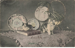 CHATS AG#MK034 DEUX CHATONS LIVRE ASSIETTES - Cats