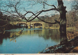 Crook O' Lune - Lancashire - Unused Postcard - Lan1 - Otros & Sin Clasificación