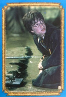 206 - Panini Harry Potter Et La Chambre Des Secrets 2003 Sticker Vignette - Other & Unclassified