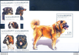 Fauna. Cani 1997. - Georgien