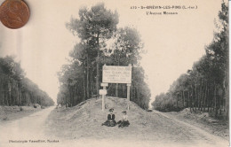 44 - Carte Postale Ancienne De  SAINT BREVIN LES PINS  L'Avenue Mondain - Saint-Brevin-les-Pins