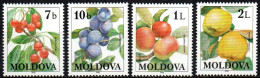 Moldawien 1998 - Mi.Nr. 278 - 281 - Postfrisch MNH - Früchte Obst Fruits - Fruits