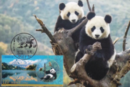 China Maximum Card 2022-26 Giant Panda National Park, Guangyuan Tangjiahe Panda Scenic Spot - Maximum Cards