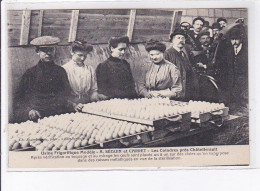 CHATELLERAULT: Usine Frigorifique Modèle A. Séguin Et Carret, Les Coindres - Très Bon état - Chatellerault