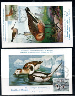 ISLANDA ICELAND ISLANDE ISLAND 1988 BIRD FAUNA BIRDS LIMOSA + CLANGULA HYEMALIS COMPLETE SET SERIE MAXI MAXIMUM CARD - Usados