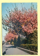 59. LILLE – Le Square Du Réduit – Vue De Printemps (animée) CPSM - Lille