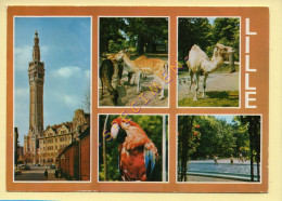 59. LILLE – Le Beffroi – Le Zoo – Multivues (animée)(perroquet) - Lille