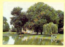 59. DOUAI – Le Parc (animée) - Douai