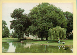 59. DOUAI – Le Parc (animée) (voir Scan Recto/verso) - Douai